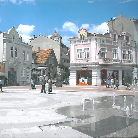 Nelly's Star Varna