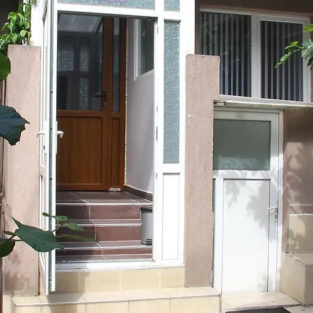 Daire Nelly's Star Varna